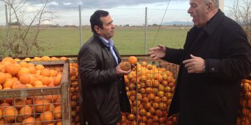 Θ. Βλαγκούλης : “Να δοθούν επιδοτήσεις σε όλους τους αγρότες”