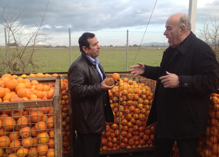 Θ. Βλαγκούλης : “Να δοθούν επιδοτήσεις σε όλους τους αγρότες”