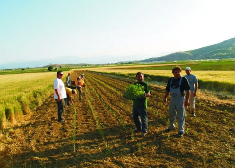 Εγκρίνονται και οι επιλαχόντες του προγράμματος Νέοι Αγρότες 2014