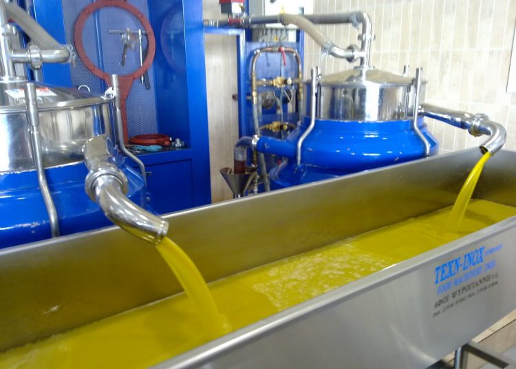 Ελαιόλαδο: Δεν έχει τέλος η κατηφόρα για τιμές στους παραγωγούς – Τα αίτια του προβλήματος