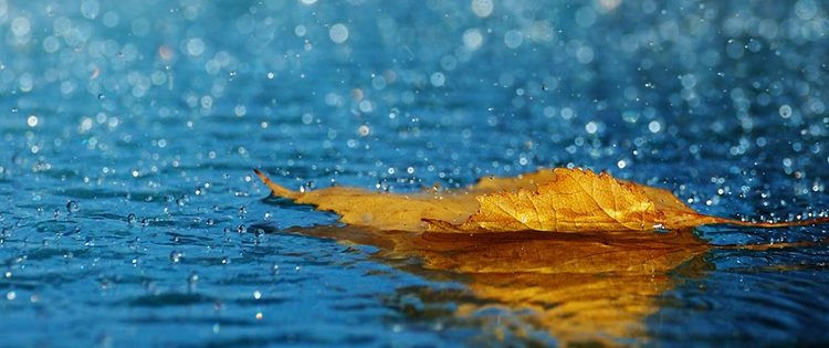 Κακοκαιρία συνέχεια -Βροχές, καταιγίδες αλλά και χιόνια