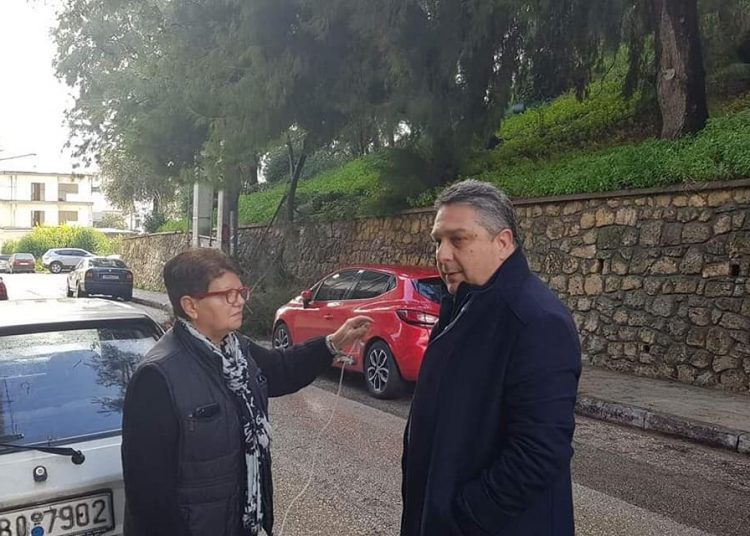 Πύργος: Πτώση δέντρου στο Επαρχείο