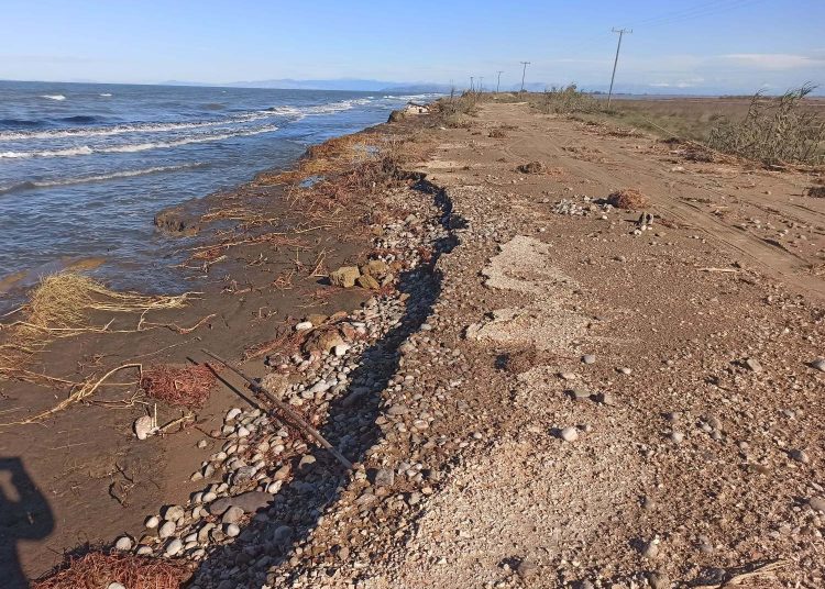 Πρωτοφανής διάβρωση της Ακτής στο Εθνικο Παρκο Κοτυχιου