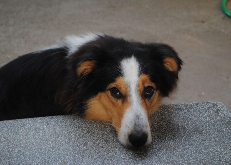 Πανηλειακός: “Τα λερωμένα τ’ άπλυτα τα παραπεταμένα” –  “Ή εγώ ή αυτός” τονίζει ο Φυντάνης! – Ούτε την άλλη εβδομάδα αγωνίζεται η ομάδα – Υπάρχει διοίκηση (και ποιά είναι);;;