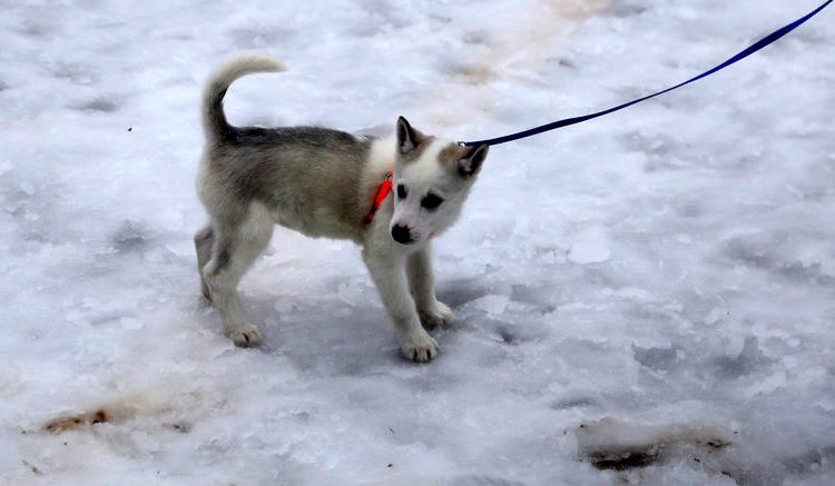 Κακοκαιρίας συνέχεια -Βροχές και παγετός