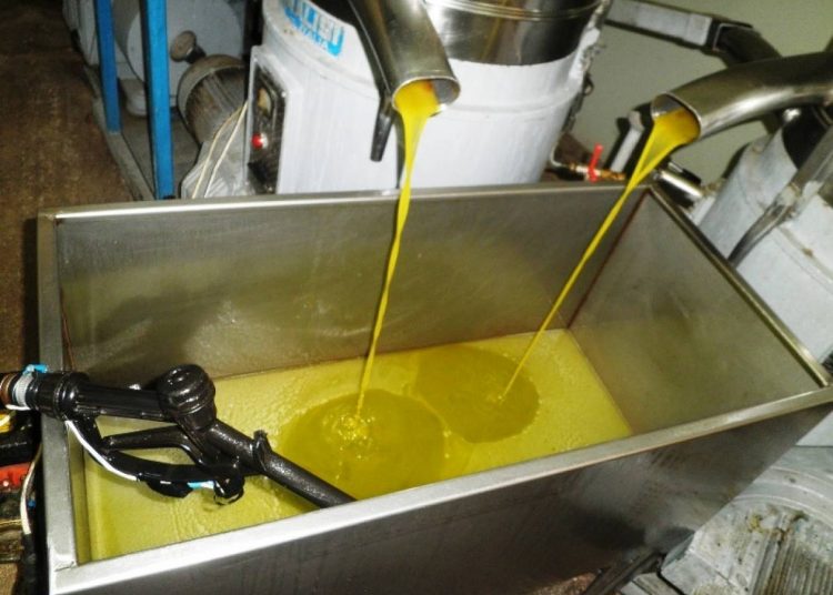 ΗΛΕΙΑ: Καλή ποιότητα, αλλά πολύ χαμηλή η τιμή του λαδιού