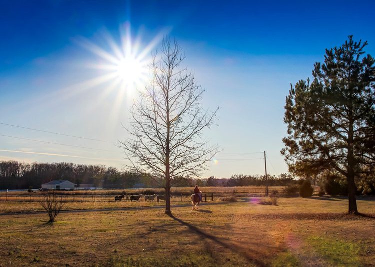 Σχετικά καλός καιρός στον Πύργο.Τοπικές βροχές βορειοδυτικά
