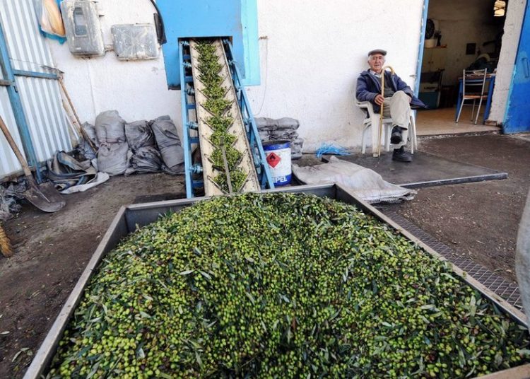 Ρεκόρ φοροδιαφυγής από ελαιοτριβείο της Ηλείας και βενζινάδικο στην Πελοπόννησο