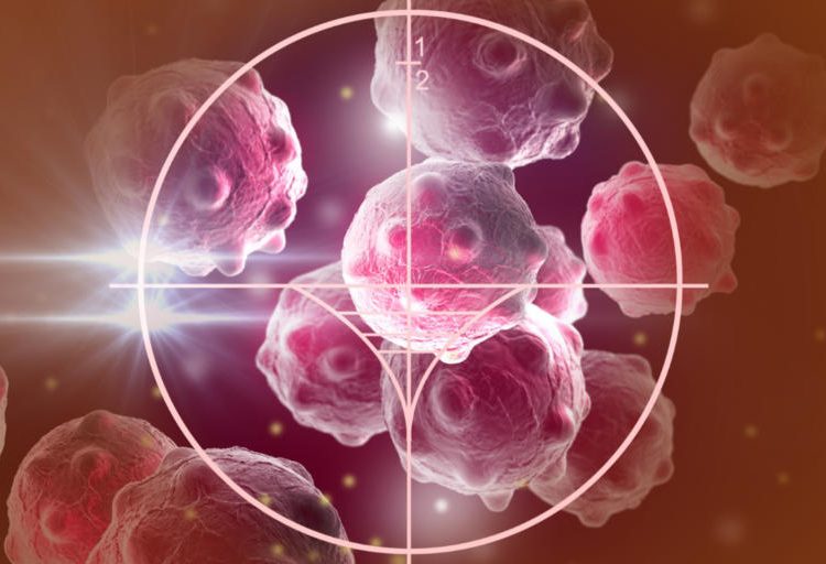 Καρκίνος: Αυτή η ανακάλυψη μπορεί να οδηγήσει στην θεραπεία όλων των μορφών του!