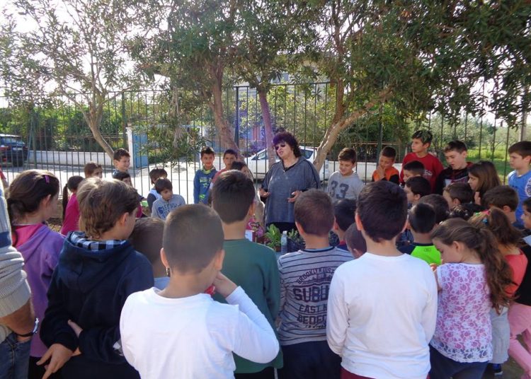 Συμμετοχή του 8ου δημοτικού Πύργου σε διαγωνισμό του Ινστιτούτου Εκπαιδευτικής Πολιτικής