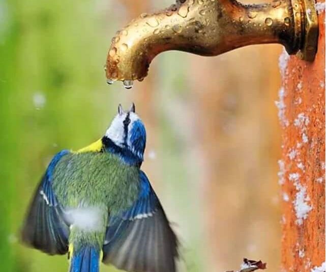 Πότε θα καταβληθούν οι συντάξεις Ιανουαρίου 2017 σε ΙΚΑ, ΟΓΑ , ΟΑΕΕ και δημόσιο