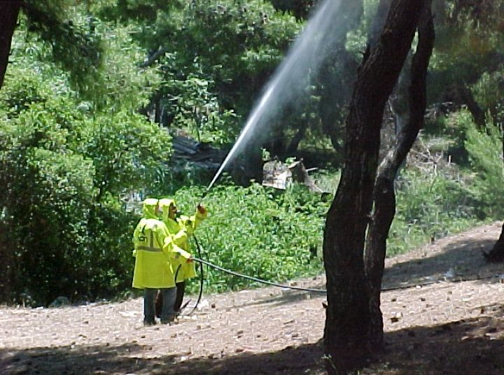 Ενημέρωση των καλλιεργητών για το πρόγραμμα δακοκτονίας