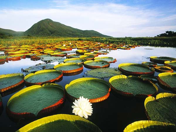 10 θαυμαστοί υδροβιότοποι στον πλανήτη