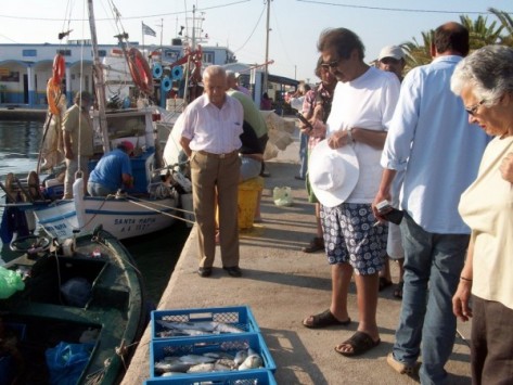 Ο Εμίρης “με τις παντόφλες” που του ανήκει η μισή Ευρώπη! Μάθετε τα πάντα για τον Εμίρη του Κατάρ. Δείτε Φωτο