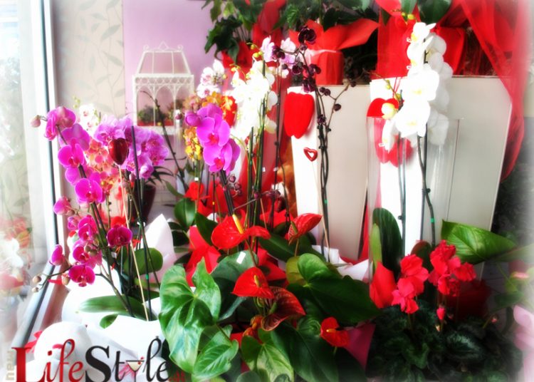 Δημιουργίες Με Άνθη Για Ερωτευμένους Απ Τις »Ανθοδεσίες»