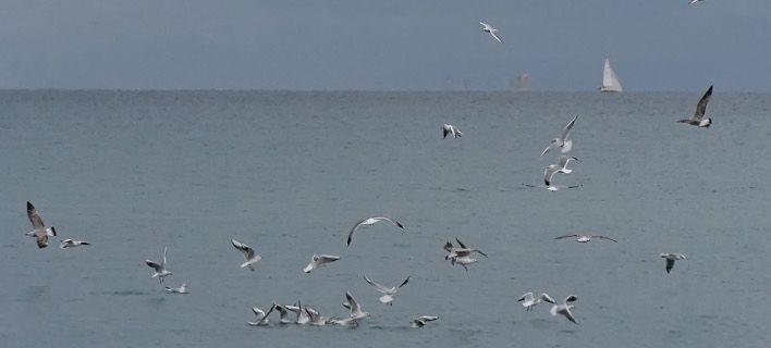 Δευτέρα με βροχές και ζέστη