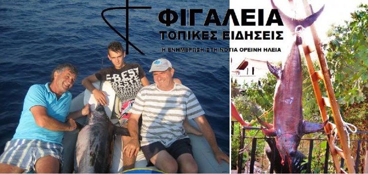 Βγήκαν για ψάρεμα στο Θολό και επέστρεψαν με ξιφία 100 κιλών