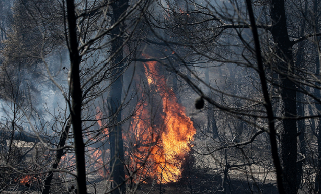 Αρκαδία: Φωτιά στη Μεγαλόπολη – Στις φλόγες το δάσος στην Κλάκοβα!