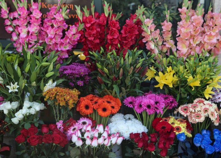 Λουλούδια στο σπίτι για να καταπολεμήσετε το στρες