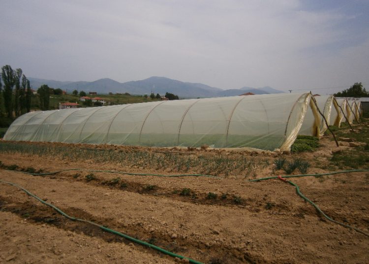 Πήραν πίσω το φόρο για τις στάνες και τα θερμοκήπια