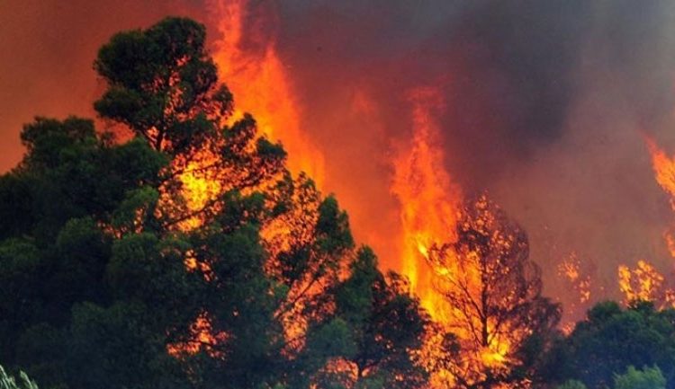 Προφυλακίστηκαν  τα δύο αδέλφια για την φωτιά στην Ανάληψη