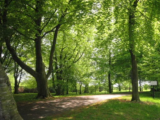 Επιστημονική έρευνα: Γιατί ο ανθρώπινος εγκέφαλος λειτουργεί καλύτερα στην εξοχή και όχι στις πόλεις