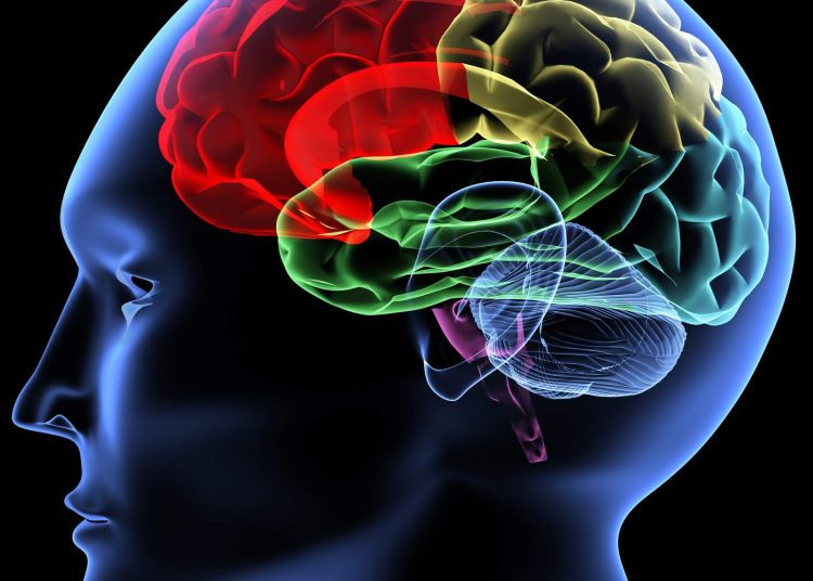 Οι 8 λάθος λειτουργίες του εγκεφάλου που δικαιολογούν πολλά -Γιατί θέλουμε να είμαστε το κέντρο της προσοχής