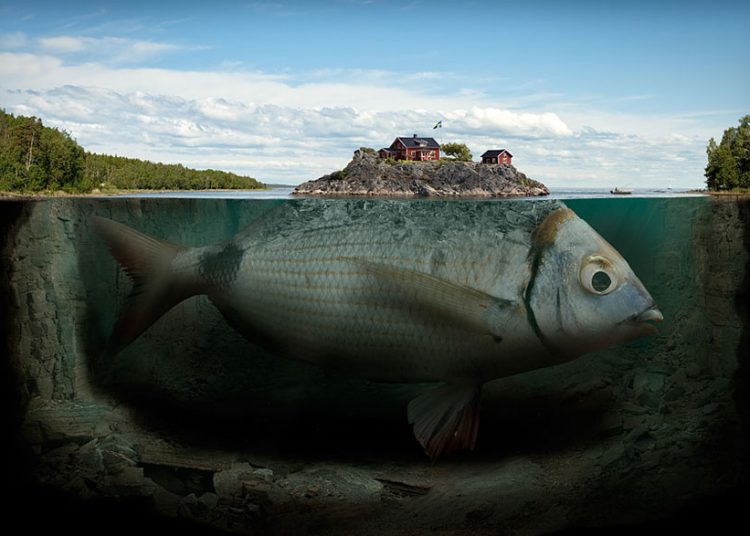 Απίστευτες εικόνες που ξεγελούν τα μάτια!