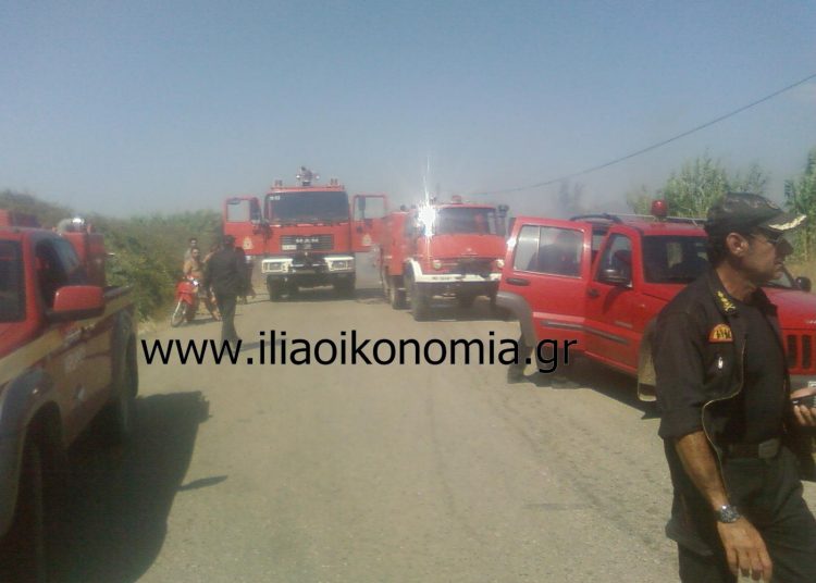 Νεότερη ενημέρωση: Έσβησε φωτιά στον Πύργο μεταξύ ΣΕΤΤΗΛ και συνοικίας Τραγανού (βίντεο)