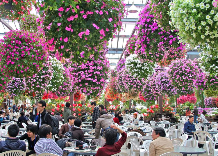 To oμορφότερο καφέ-εστιατόριο στον κόσμο: Δεν υπάρχουν λόγια για να το περιγράψεις [εικόνες]