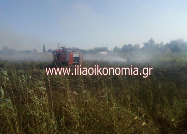 Πυρκαγιά στα Λέτρινα Σπιάντζας Δήμου Πύργου (βίντεο)