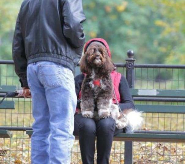 Εικόνες που παίζουν με το μυαλό