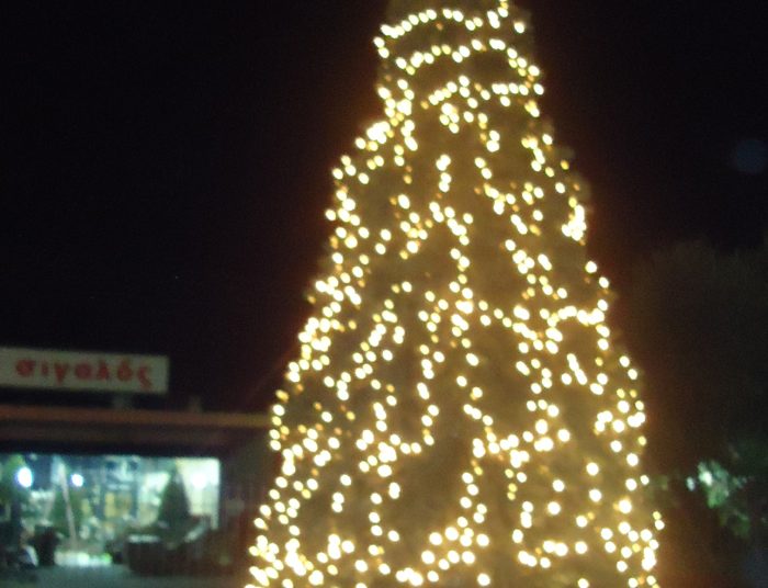 “Άναψε” το 1ο Χριστουγεννιάτικο δένδρο στον Πύργο