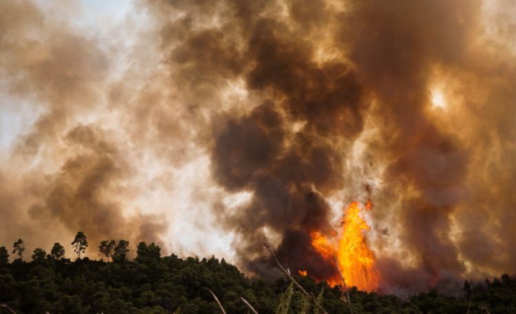 Σύλληψη δύο ατόμων για εμπρησμό από πρόθεση στην περιοχή Γεράκι Ηλείας