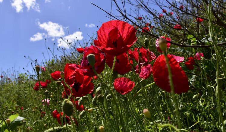 Καιρός: Αναλυτικά η πρόγνωση για σήμερα