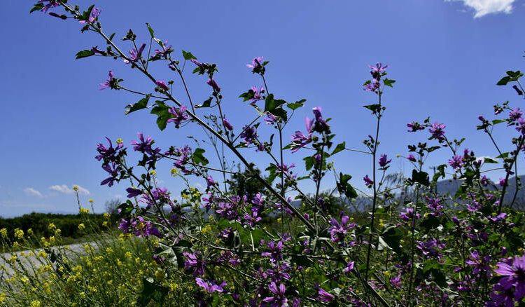 Καιρός: Αναλυτική πρόγνωση για σήμερα