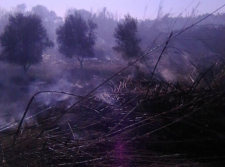 ΠΥΡΓΟΣ: Φωτιά στο χωριό Ρώμεσι