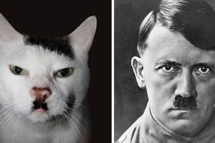 15 ζωάκια που μοιάζουν με διάσημους (ΦΩΤΟ)