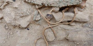 Στην Πύλο βρέθηκε ασύλητος τάφος πολεμιστή του 1500 π.Χ.