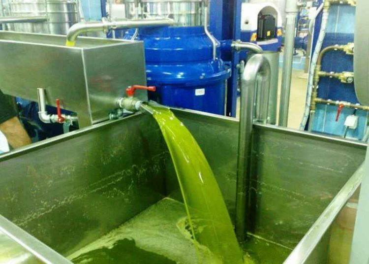 Τρία ευρώ το κιλό στην τσέπη των παραγωγών από τη συμφωνία Α.Σ. Γαργαλιάνων – Deoleo