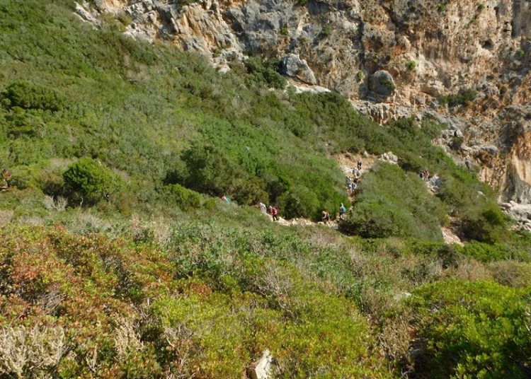 Ο Ορειβατικός Σύλλογος Πύργου στην ‘Νήσο Πρώτη’ του Ν. Μεσσηνίας