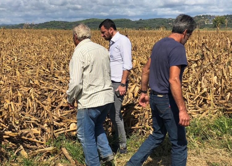 Α.Νικολακόπουλος:”Να στηριχθούν οι πληγέντες αγρότες του Κάτω Σαμικού”