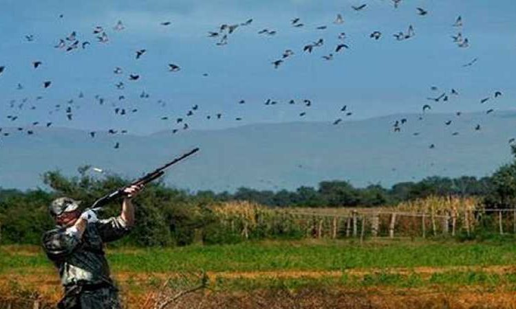 Ξεκινά η νέα κυνηγετική περίοδος