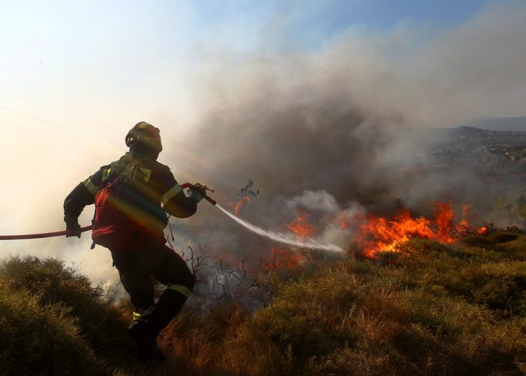 Φωτιά στην συν Τραγανό Πύργου