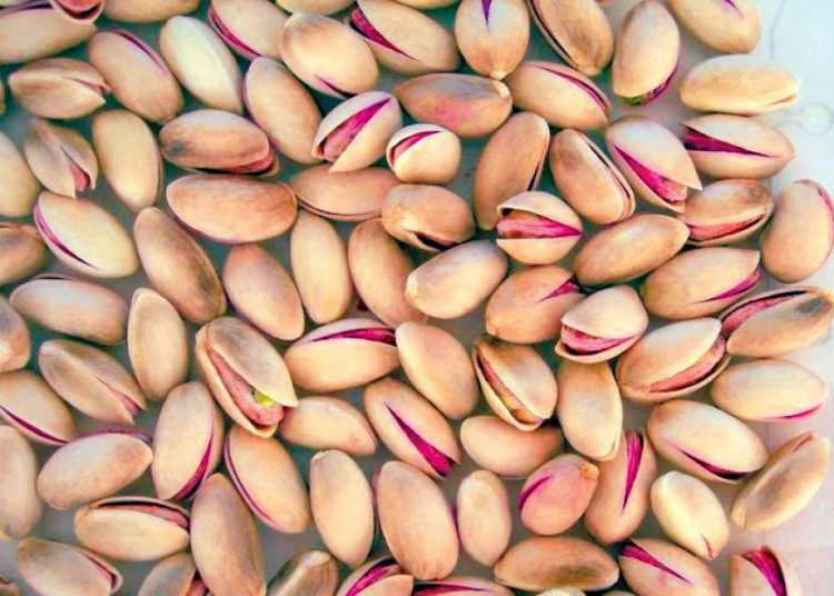 Μια νέα γενιά αγροτών επενδύει στο φιστίκι