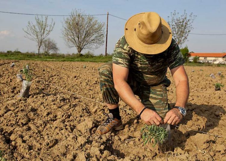 ΔΙΕΥΘΥΝΣΗ ΑΓΡΟΤΙΚΗΣ ΟΙΚΟΝΟΜΙΑΣ ΚΑΙ ΚΤΗΝΙΑΤΡΙΚΗΣ: Πρόσκληση ενδιαφέροντος για «Ανάπτυξη μικρών γεωργικών εκμεταλλεύσεων»