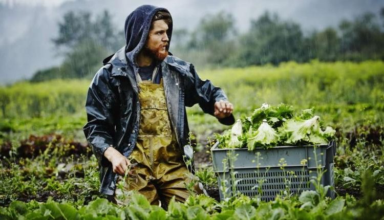 Σοκ για τους αγρότες: Αύξηση του ΦΠΑ στο 24% για τα αγροτικά εφόδια