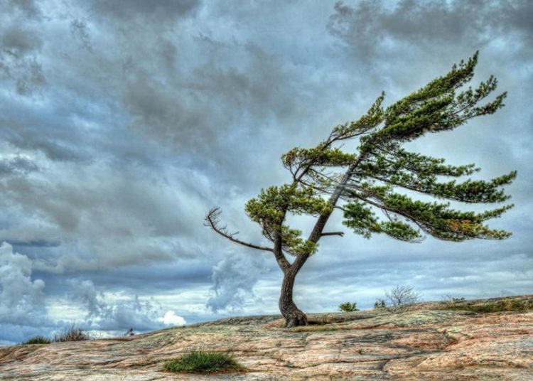 Αναλυτικά η πρόγνωση για σήμερα 15 Σεπτεμβρίου 2019