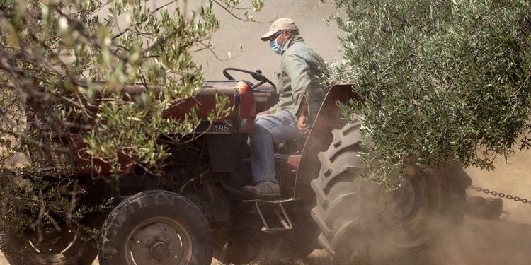 Λύση – πακέτο για τα χρέη των αγροτών: Οι προϋποθέσεις και τα κριτήρια