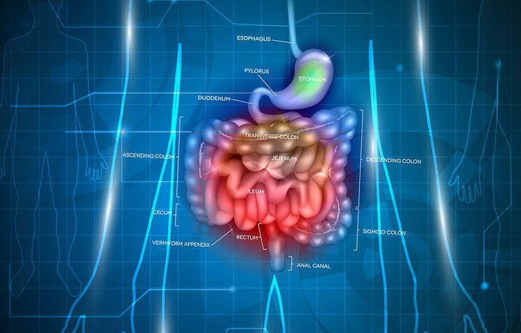 Γαστρικός καρκίνος: Τα σημάδια που μπορούν να οδηγήσουν σε έγκαιρη διάγνωση